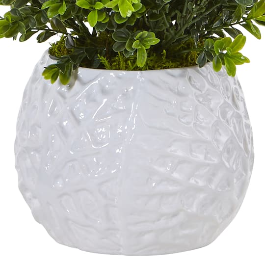 17" Boxwood in White Vase
